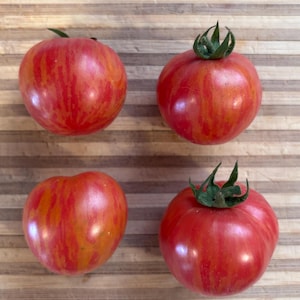 May include: Four red and orange striped tomatoes on a wooden surface.