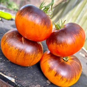 May include: Four heirloom tomatoes with a dark brown and orange striped pattern. The tomatoes are arranged in a pile on a dark wooden surface.