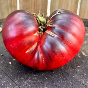 May include: A heart-shaped heirloom tomato with a deep red and purple color. The tomato has a unique, bumpy texture and is sitting on a dark wooden surface.