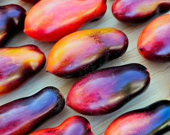 Antho Pink Panther Dwarf Tomato Seeds Florida Heat Friendly