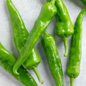 May include: A group of six green chili peppers on a white background. The peppers are all different sizes and shapes, and they are arranged in a random pattern.