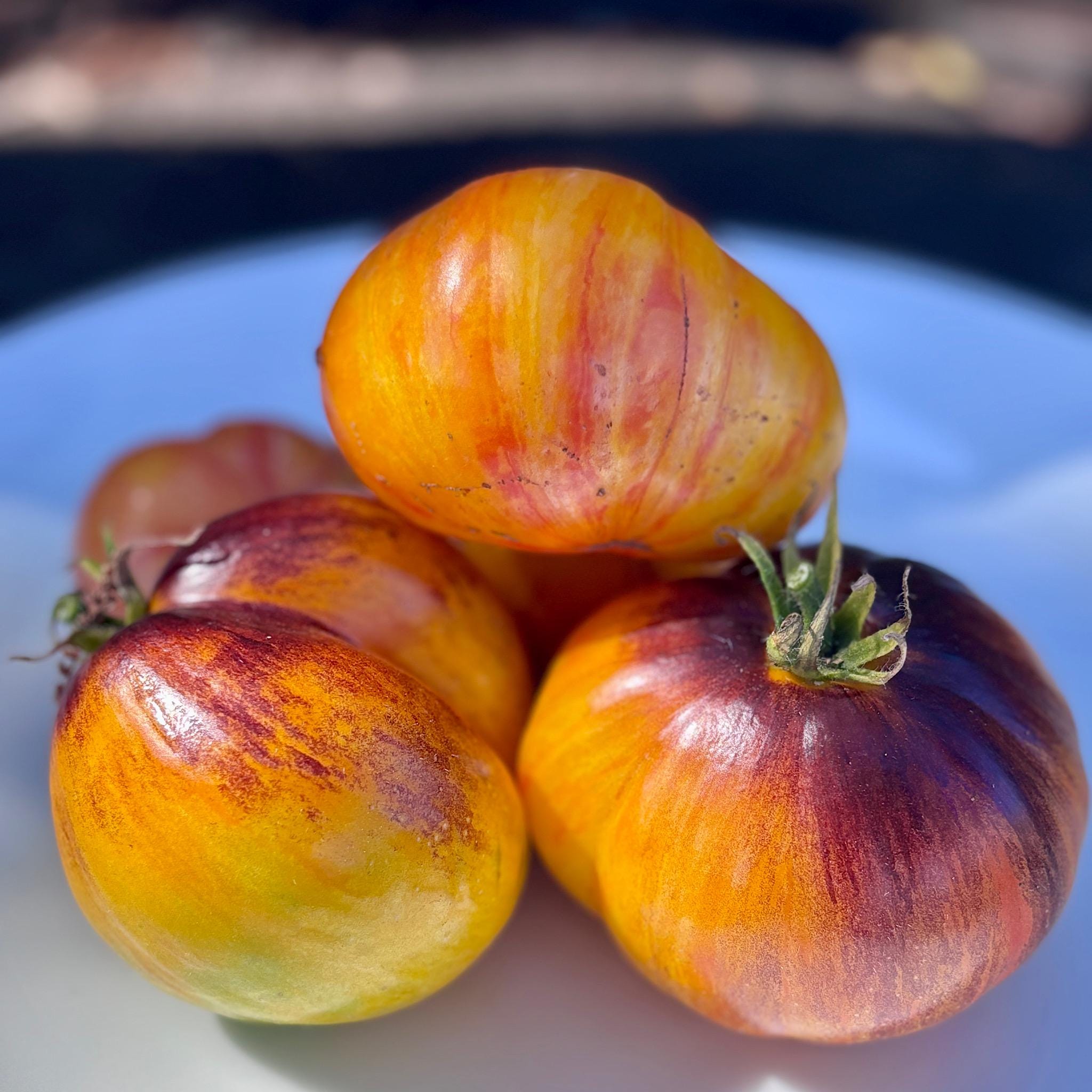 Strangelove Tomato Seeds From Bill Yoder Depeche Mode Line