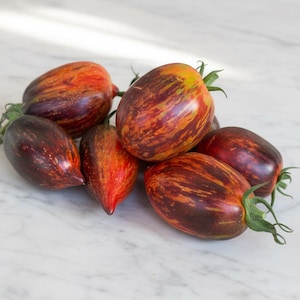 Gargamel Tomato Seeds by Phil Seneca