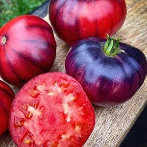 Organic Non-GMO Semi-determinate Tomato Seed from High Mowing Organic Seeds