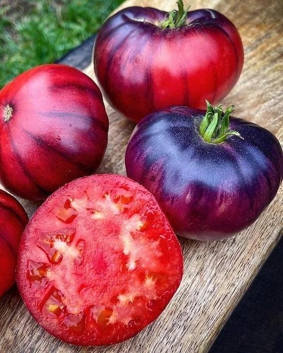 Siberian Tiger Claws Tomato Seeds Florida Heat Friendly