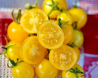 May include: A close-up shot of a pile of yellow cherry tomatoes, some whole and some halved, revealing the juicy interior. The tomatoes are on a white and red checkered surface, with green stems attached.