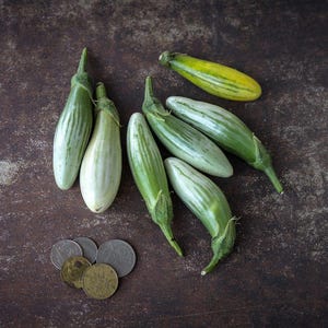 Thai Green Frog Fingers Eggplant Seeds