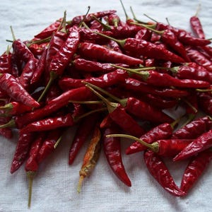 Dragon Cayenne Hot Pepper Seeds