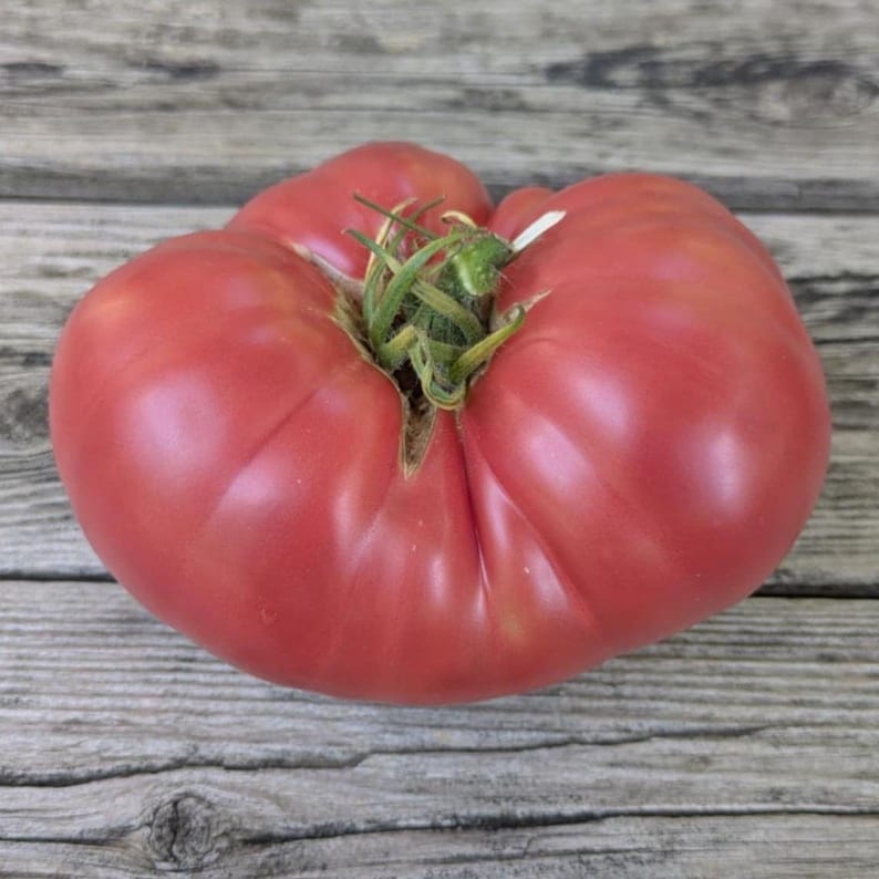 Strawberry Lemonade Dwarf Tomato Seeds - Etsy