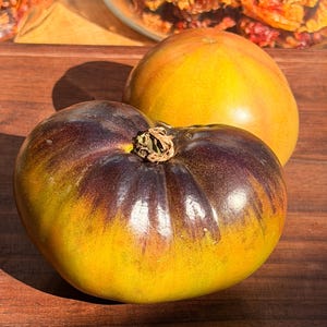 May include: Two heirloom tomatoes with a yellow and purple gradient, resting on a wooden surface. The tomatoes have a smooth, glossy skin and are in focus. The background includes a glass jar with dried tomatoes.