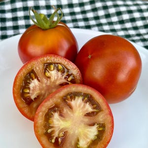 Deaton’s Dwarf Tomato Seeds Florida Grown