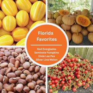 May include: A collage featuring yellow Silver Line melons, tan Seminole pumpkins, brown Dixie Lee peas, and red cherry tomatoes. A central orange circle displays the text Florida Favorites, Red Everglades, Seminole Pumpkins, Dixie Lee Pea, Silver Line Melon.