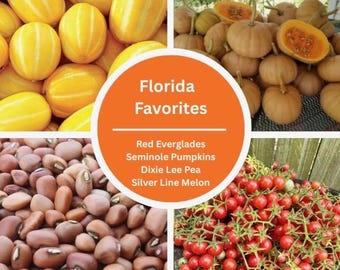 Florida Favorites Seminole Pumpkin Everglades Tomatoes Early Silver Line Melon EASY TO GROW