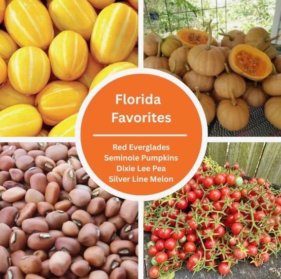 Florida Favorites Seminole Pumpkin Everglades Tomatoes Early Silver Line Melon EASY TO GROW