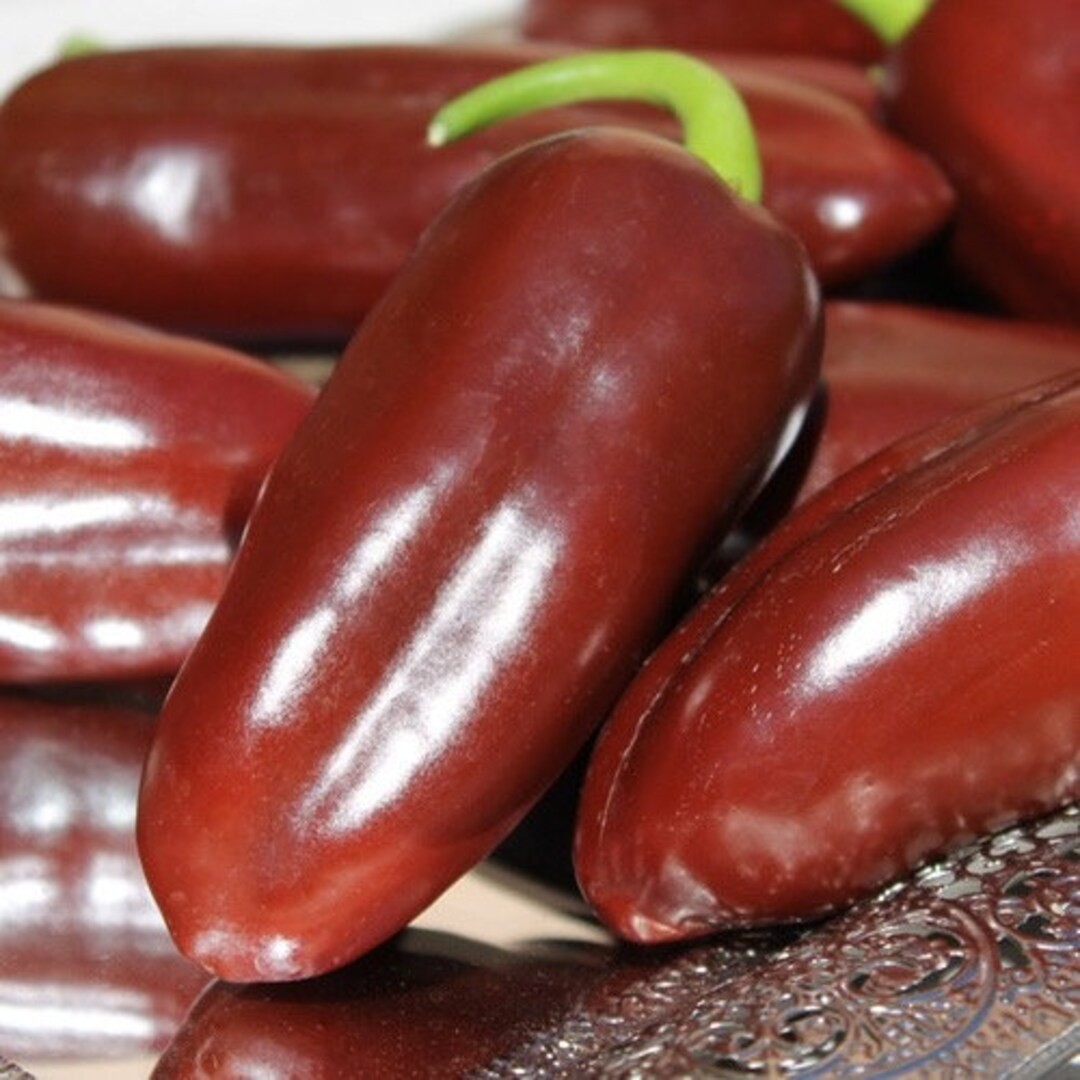 Brown Jalapeno Pepper Seeds Etsy