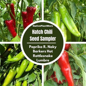 May include: A collage of four images showing different types of chili peppers. The top left image shows red chili peppers growing on a plant. The top right image shows green chili peppers growing on a plant. The bottom left image shows green chili peppers growing on a plant. The bottom right image shows red chili peppers growing on a plant. The text "NativePlantWorx Hatch Chili Seed Sampler Paprika R. Naky Barkers Hot Rattlesnake Lumbre" is in the center of the collage.
