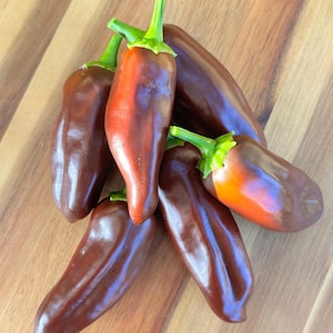 Brown Jalapeño Pepper Seeds