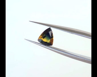 Natural Yellow Blue Sapphire Trillion Shape 0.92 ct Faceted Loose Stone