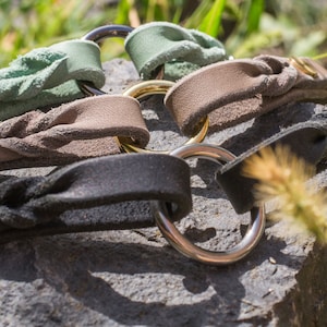 Branded Band Branded Collar Dog Leather Oiled Leather Individually Braided Free Choice of Color