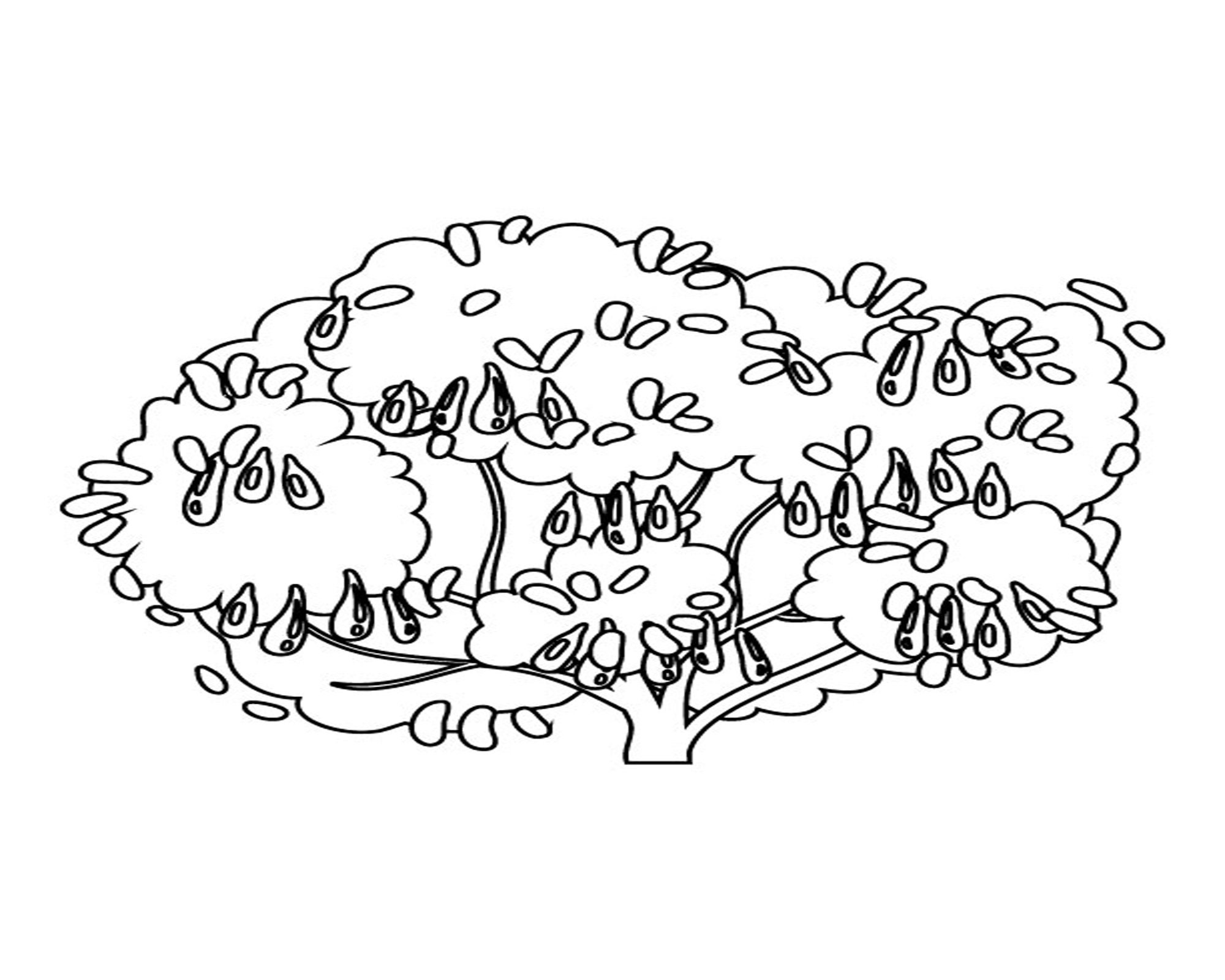 5 Colouring Pages, Tree Colouring Book, Tree Colouring, Colouring Art ...
