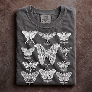 Entomology Moth Taxonomy Shirt Scientific Illustration Tee Natural History Museum Graphic Top