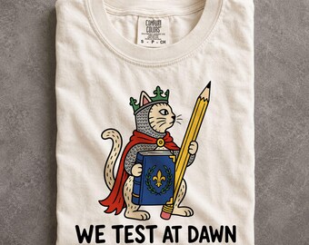 We Test At Dawn Medieval Cat Knight Teacher Testing Shirt Exam Day School Humor Comfort Colors Tee