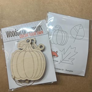May include: Wooden pumpkin ornament with a string, packaged with a sheet of leaf and pumpkin outlines for coloring. The packaging reads "Wooden Ornaments COLOR YOUR OWN". A fox logo is also visible.