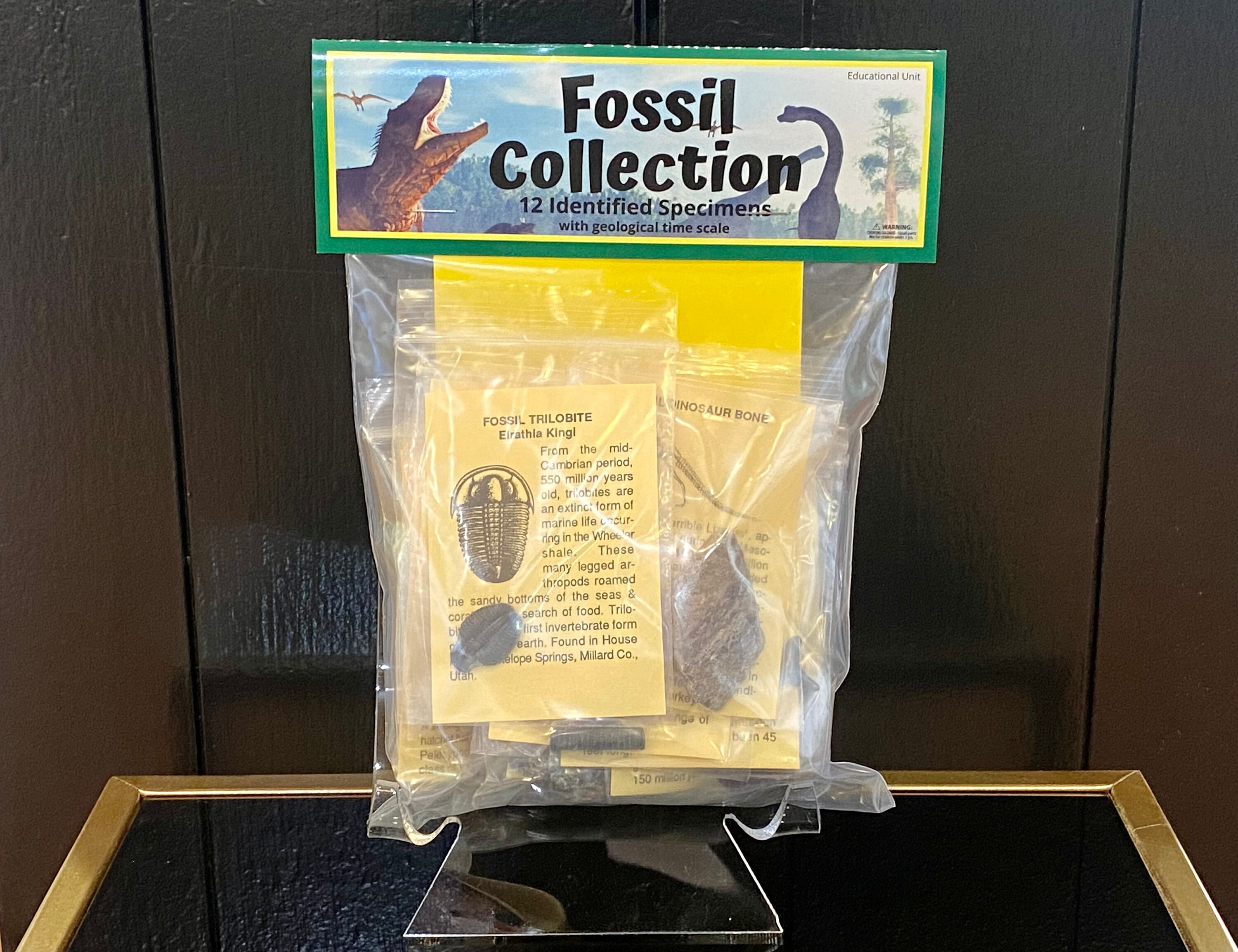 Mega Gemstone & Fossil Dig Excavation Kit Over 50 Real Specimens