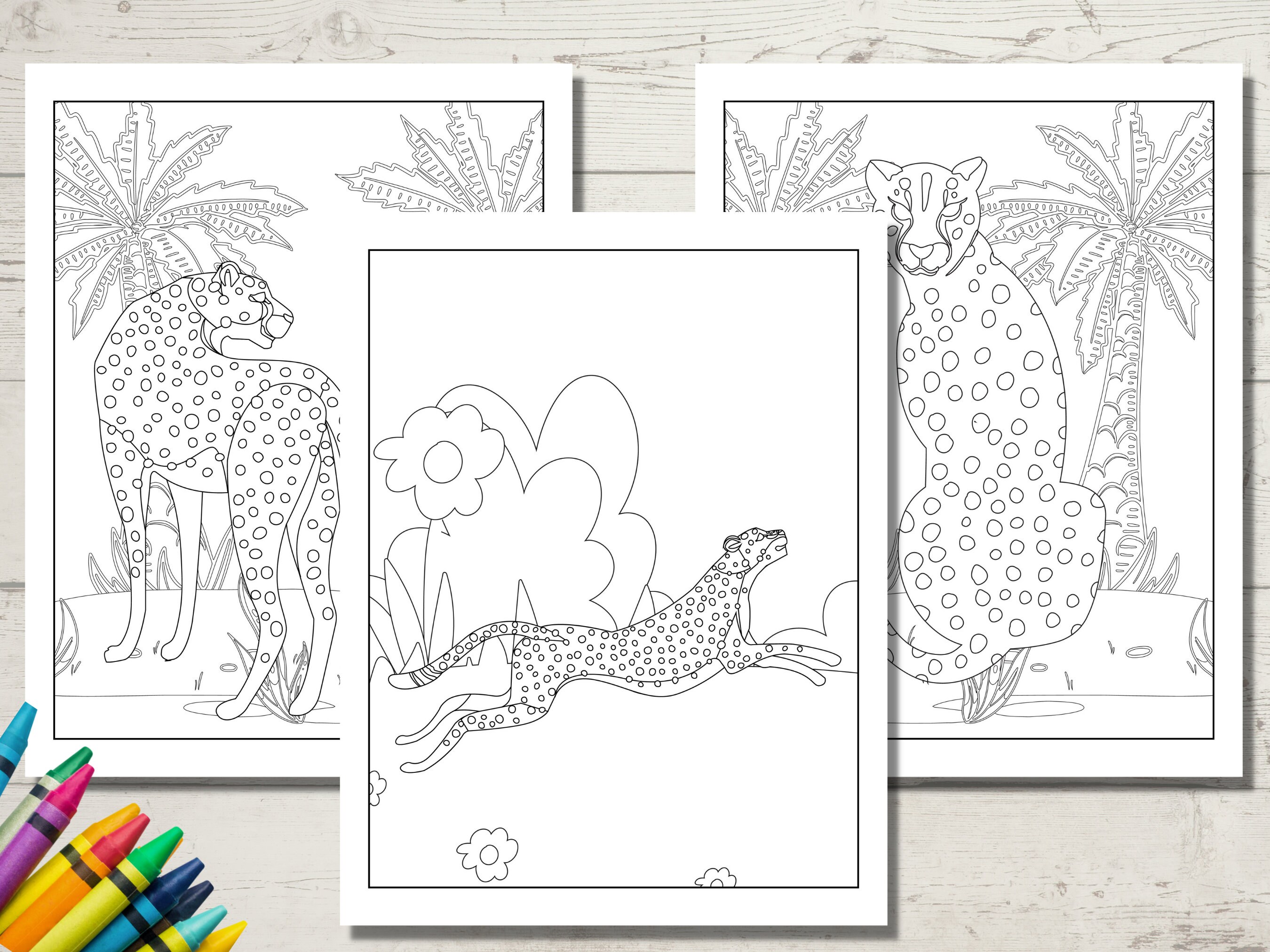 Cheetah Coloring Book, Adult Coloring Book, Cheetah Gifts, Custom ...