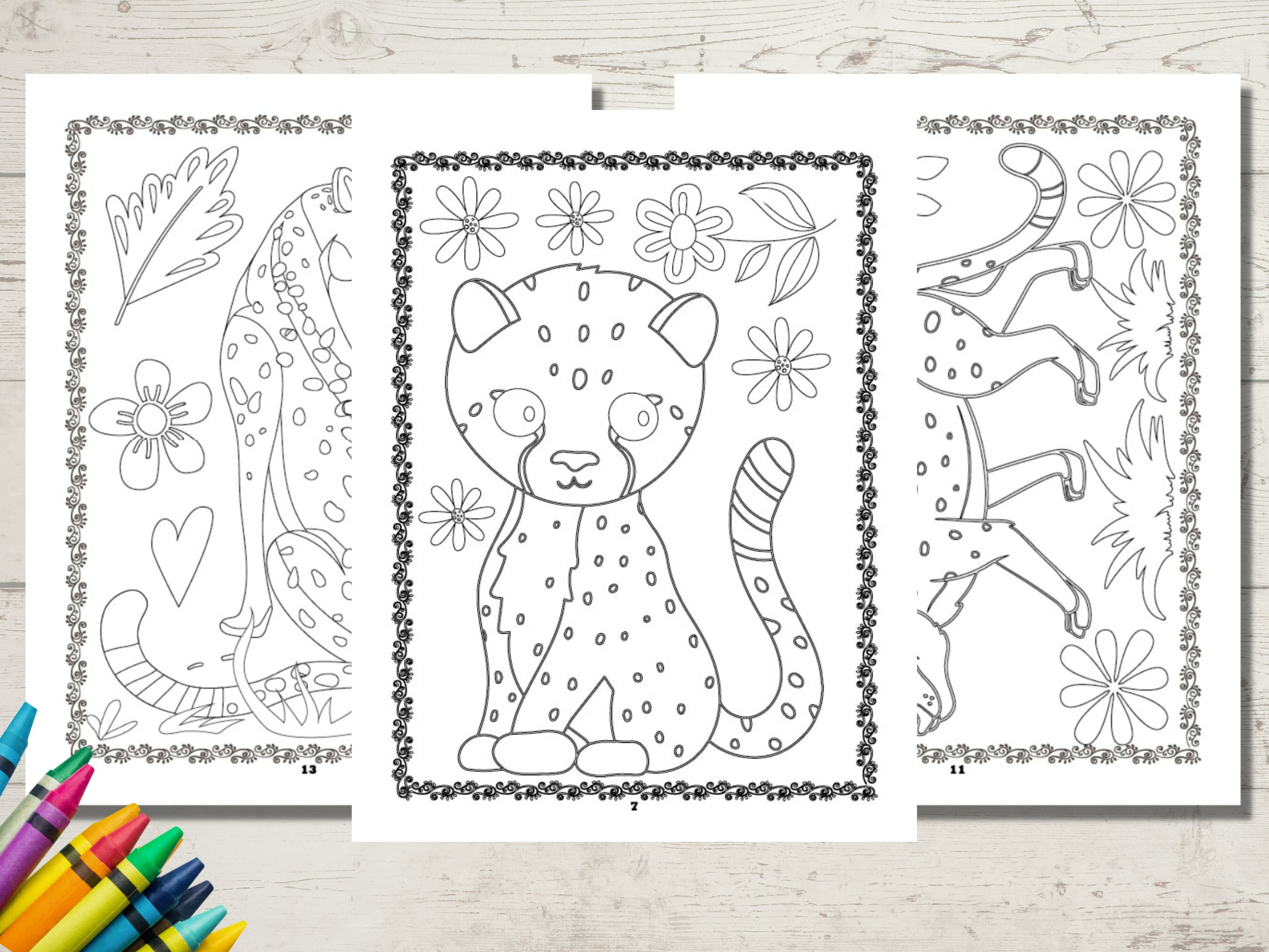 Cheetah Coloring Book Adult Coloring Book Cheetah Gifts - Etsy