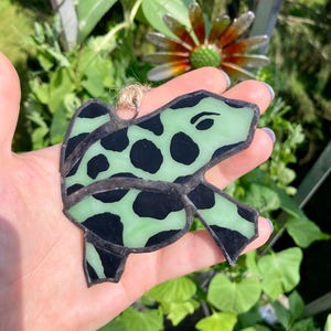 Rana in vetro colorato, rana leopardo, arte in vetro colorato, acchiappasole, arte della rana, arte naturalistica, arte animale, arte dipinta a mano, ornamento di rana, verde