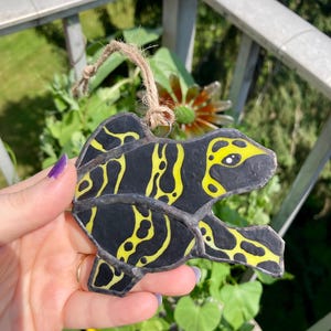 Stained Glass Frog, Poison dart Frog, Stained Glass Art, Sun Catcher, Frog Art, Nature Art, Animal Art, Hand-painted Art, Frog Ornament, art