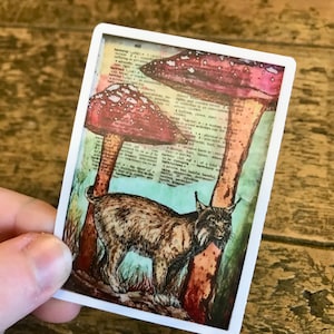 Adesivo de vinil, adesivo à prova d'água, adesivo caprichoso, adesivo Cottage Core, adesivo Bobcat, adesivo cogumelo, arte em garrafa de água, arte original