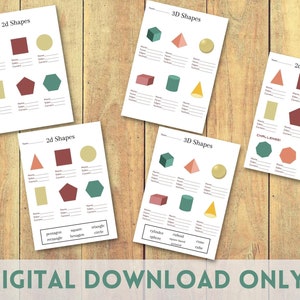Differentiated 2D 3D worksheets, teaching resources, educate, children's learning, support, learning,