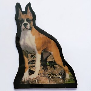 May include: A brown and white boxer dog key holder with a black background. The key holder has the word "Florida" and a palm tree on it.