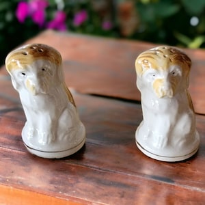 May include: A pair of ceramic salt and pepper shakers shaped like brown and white dogs. The shakers have a glazed finish and are sitting on a wooden surface.