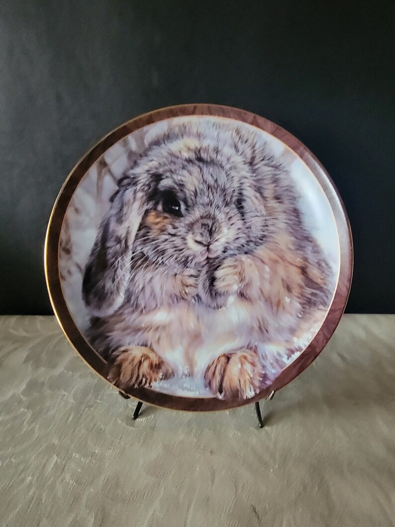 Bradford Exchange Bunny Tales Collection Plates Set of 6 Etsy