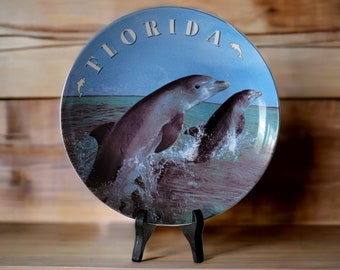 Placa de lembrança da série coletora da Flórida, cartão postal, fábrica, golfinho, placa decorativa vintage, suspensão de parede