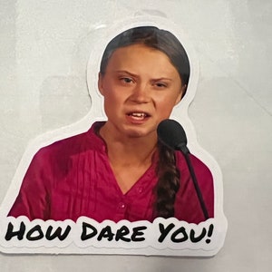 Funny 4” Greta How Dare You! Sticker