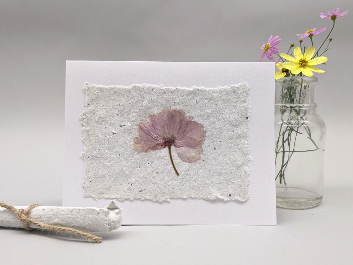 Real Pressed Flower Note Cards With Handmade Paper Random Design