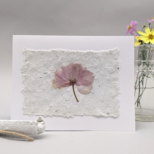 Real Pressed Flower Note Cards With Handmade Paper Random Etsy