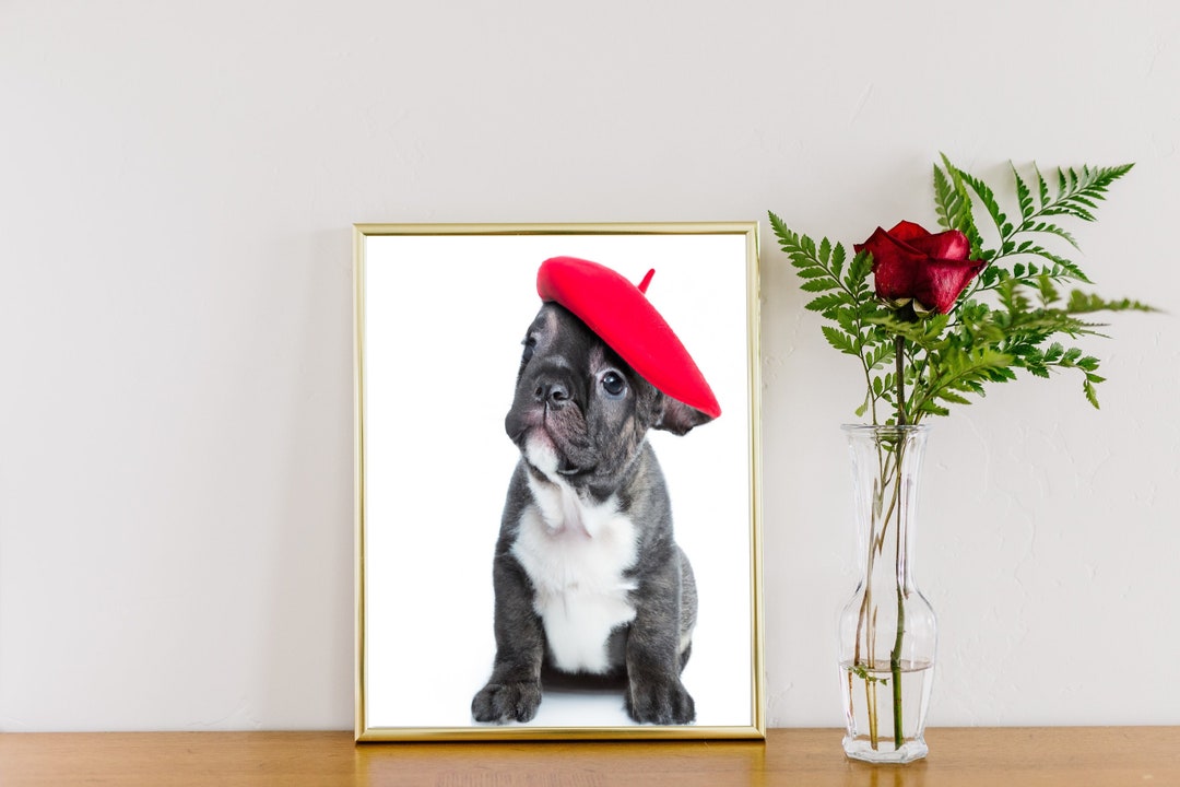 french-bulldog-printable-wall-art-cute-puppy-poster-dog-etsy