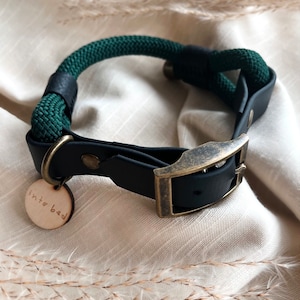 Emerald Green rope dog collar with antique brass buckle