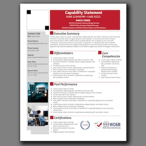 Business template for marketing to government agencies, Capability statement template for the IT industry