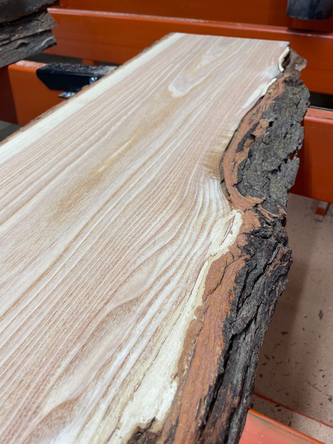 Live Edge Slabs Honey Locust Slabs 20 Wide Slabs Available Raw Live Edge Wood Etsy