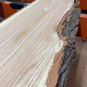 Live Edge Slabs | Honey Locust Slabs | 20&quot;+ Wide Slabs Available | Raw Live Edge Wood