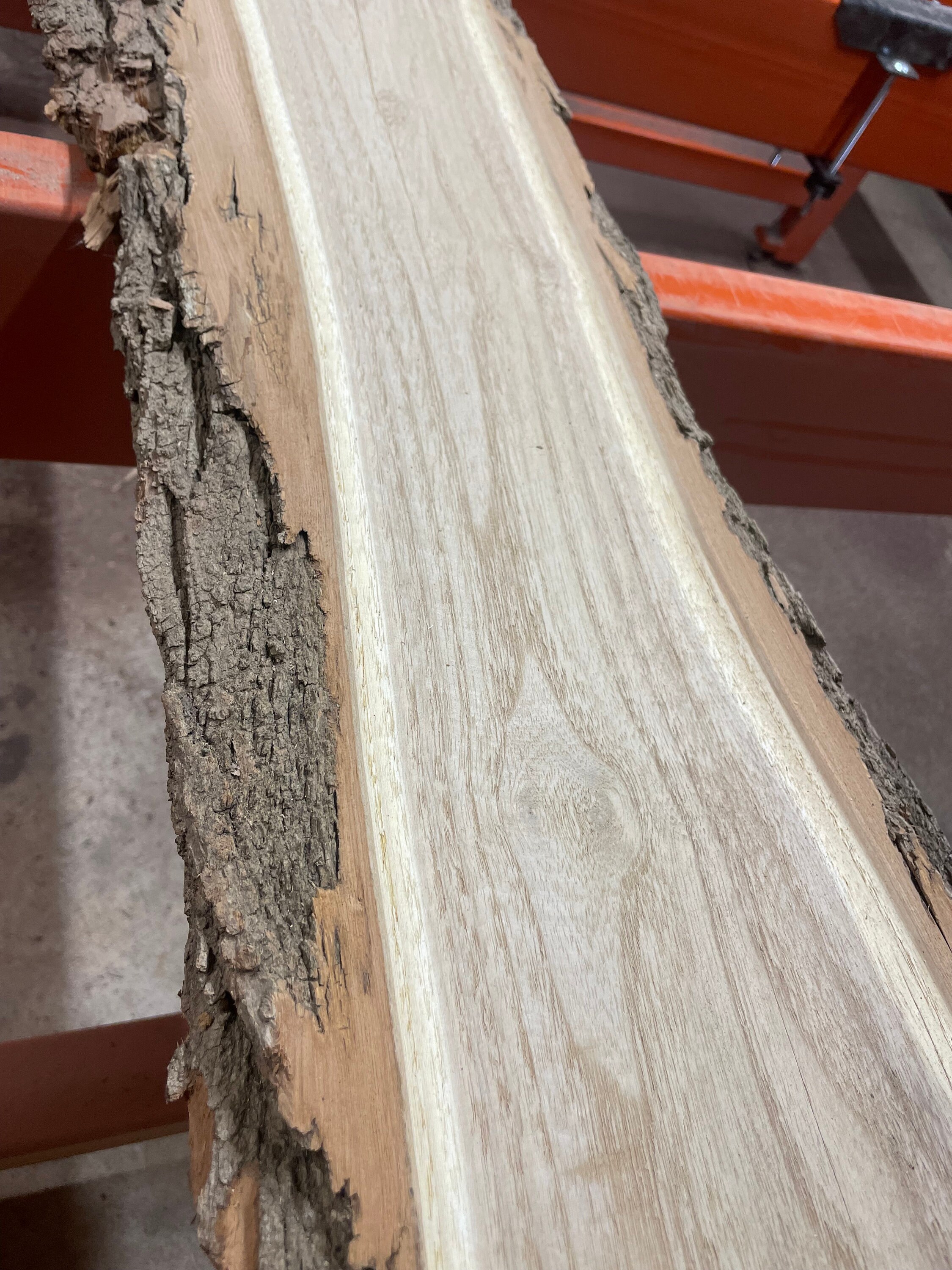 Catalpa Wood Slab, Live Edge Slab, Figured Catalpa Wood Slabs, DIY