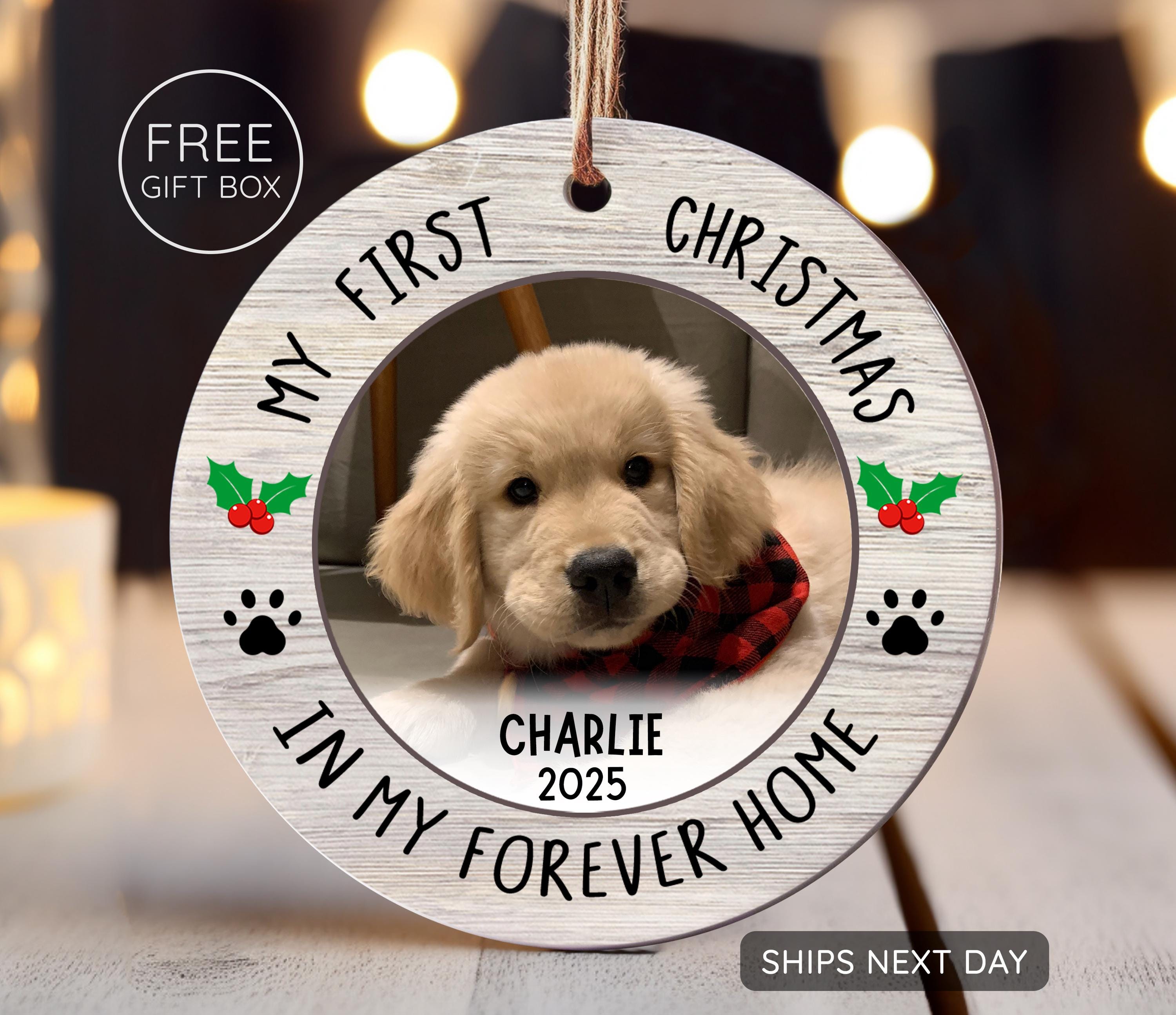 Rescue Dog First Christmas Gift: Heartwarming Ideas