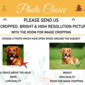 photos need to have open space around your pet