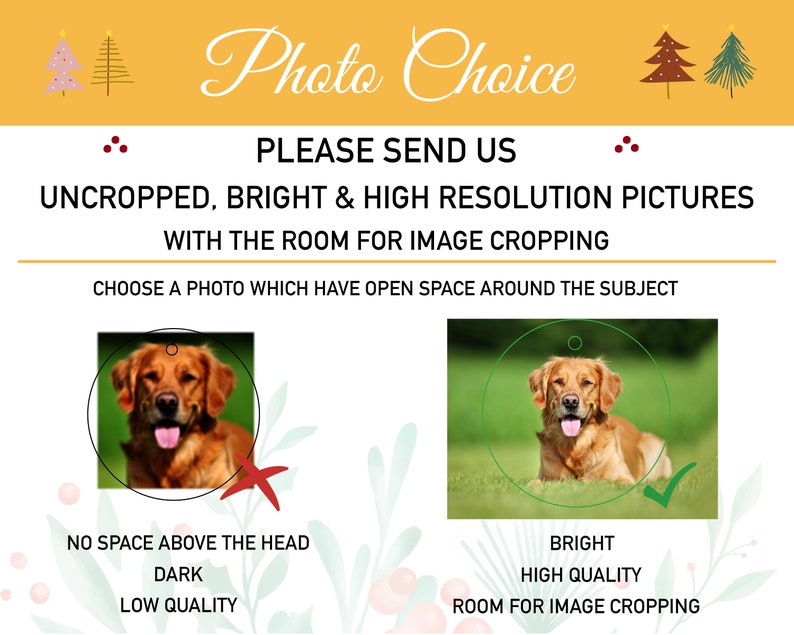 photos need to have open space around your pet